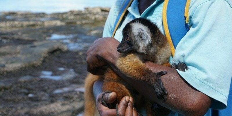 Lokobe Nationalpark Lokobe Nationalpark