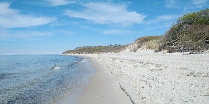 Sind Hunde am Weststrand Darß erlaubt?
