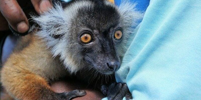 Top Sehenswürdigkeiten auf Nosy Be