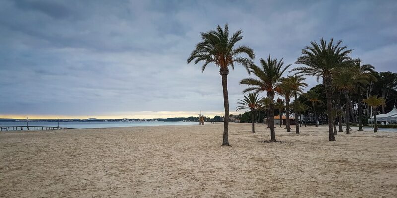 Die Bucht von Alcudia der Traumstrand vieler Urlauber