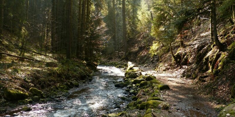 Wandern in der Schlucht