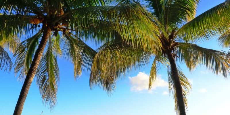 Wetter, Klima, Temperatur & Regenzeit und Infos Wetter, Klima, Temperatur & Regenzeit und Infos