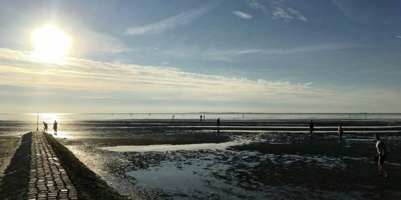 Welche Aktivitäten kann man am Strand tun?