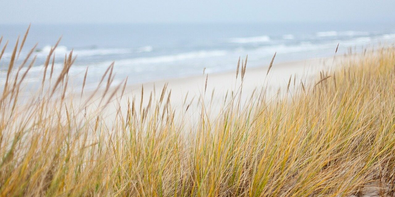 FKK Strand Ostsee FKK Strand Ostsee