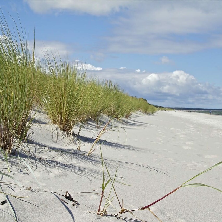 Prerow Strand
