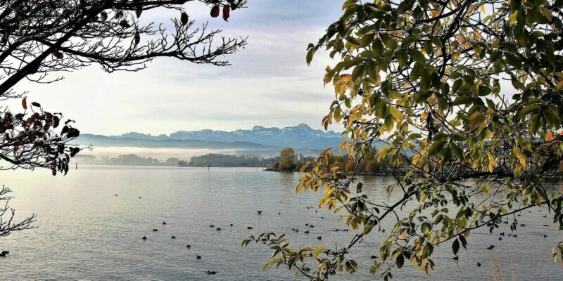 Die besten Strandbäder am Bodensee