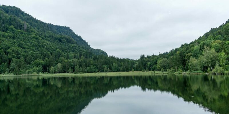 Schwansee