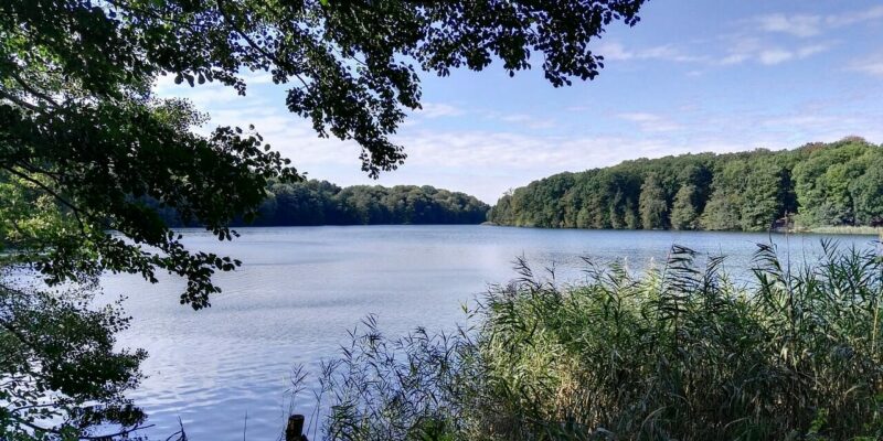 Schlachtensee Schlachtensee