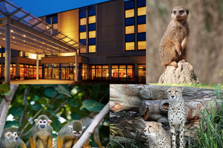 3 Tage Leipzig mit Zoo