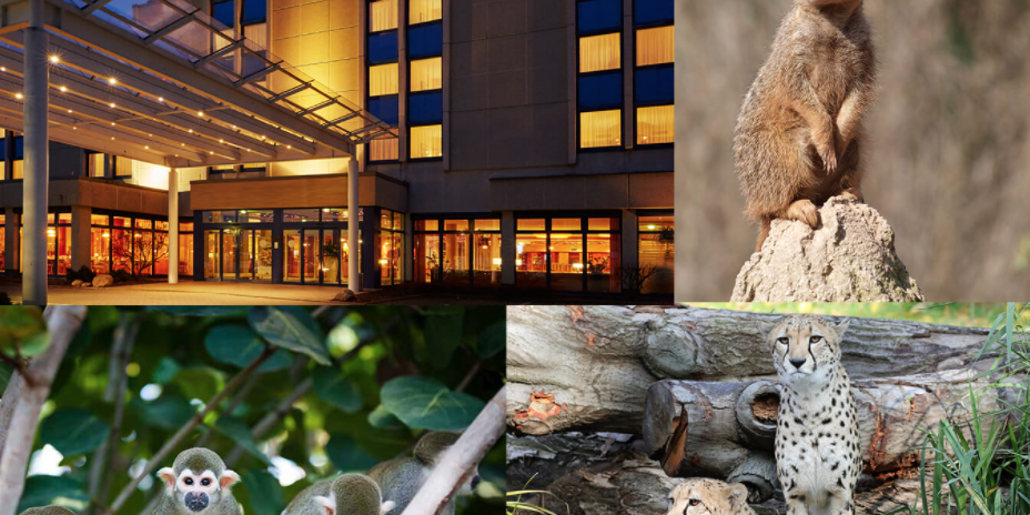 3 Tage Leipzig mit Zoo 3 Tage Leipzig mit Zoo