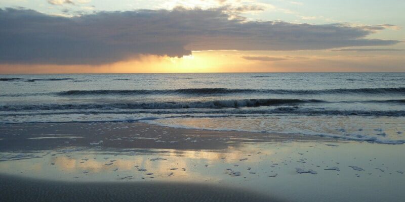 Hundestrand auf St. Peter-Ording