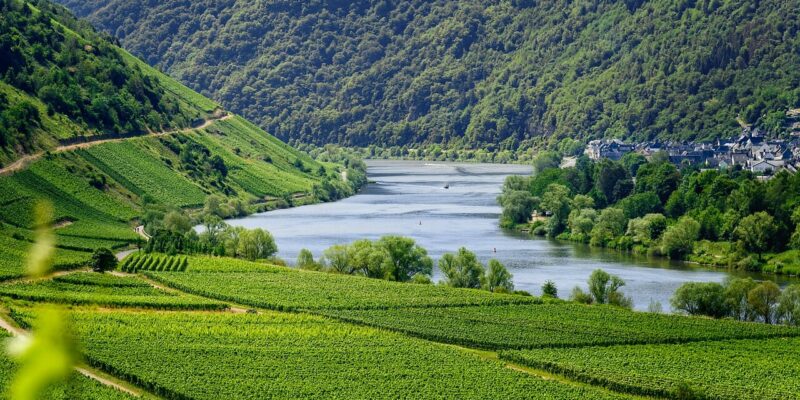 Mosel Weinregion Mosel Weinregion