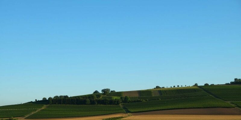 Rheinhessen Weinbaugebiet Rheinhessen Weinbaugebiet