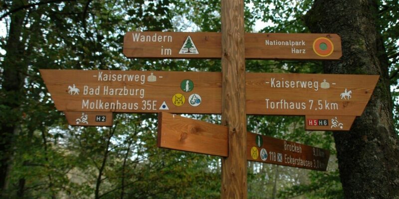 Den perfekten Urlaub im schönen Harz erleben