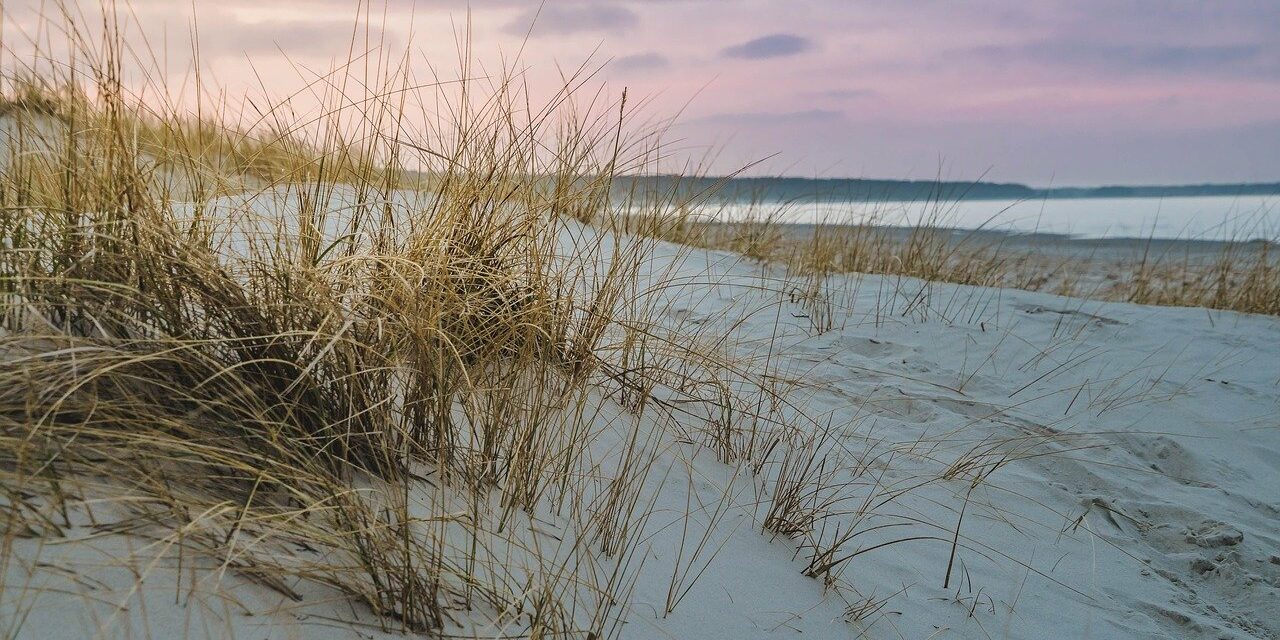 Ostsee Hotel am Strand
