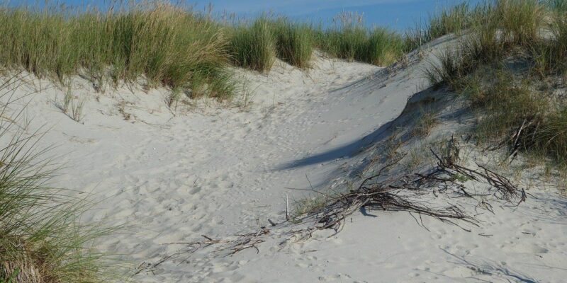 Ihren perfekten Urlaub am Meer erleben