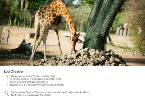 Zoo Dresden Angebot