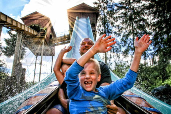 Diese Highlights erwarten sie hier