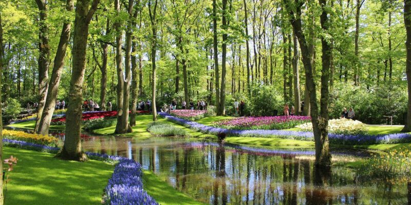 Keukenhof