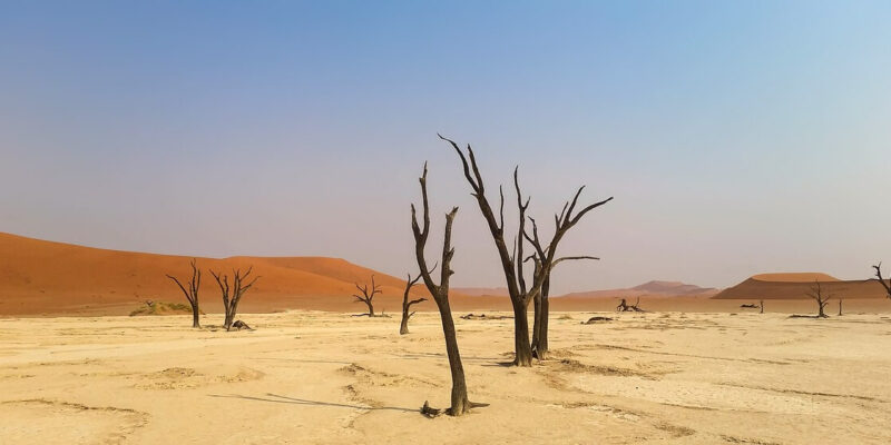 Afrikareise um die Safari zu erkunden