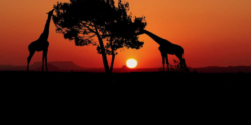 Die verschiedenen Landschaften der Afrika Regionen