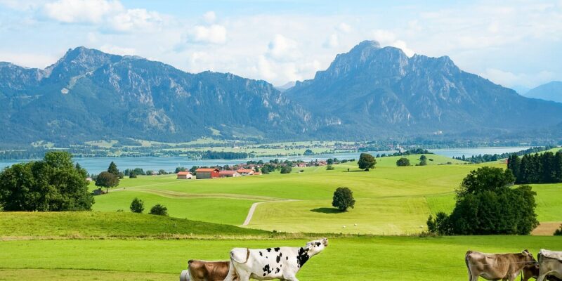 Entdecke die Vielfalt des Allgäus mit Kindern