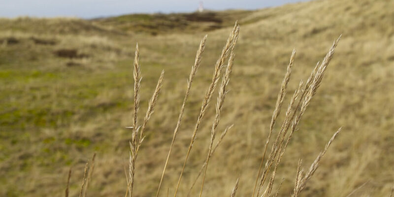 Der passende Strand für den perfekten Strandurlaub