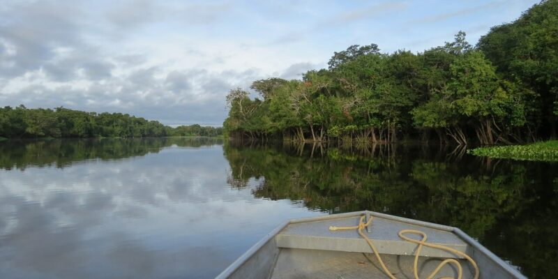 Amazonas