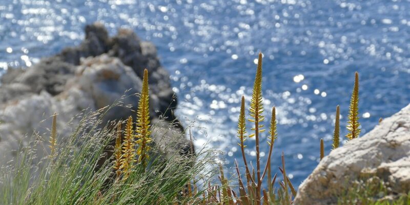 All-Inclusive Kurzurlaub besonders beliebt All-Inclusive Kurzurlaub besonders beliebt