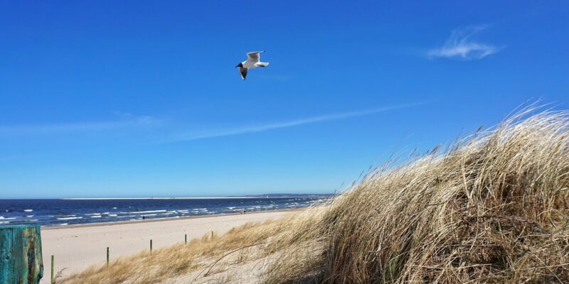 Kururlaub an der polnischen Ostsee