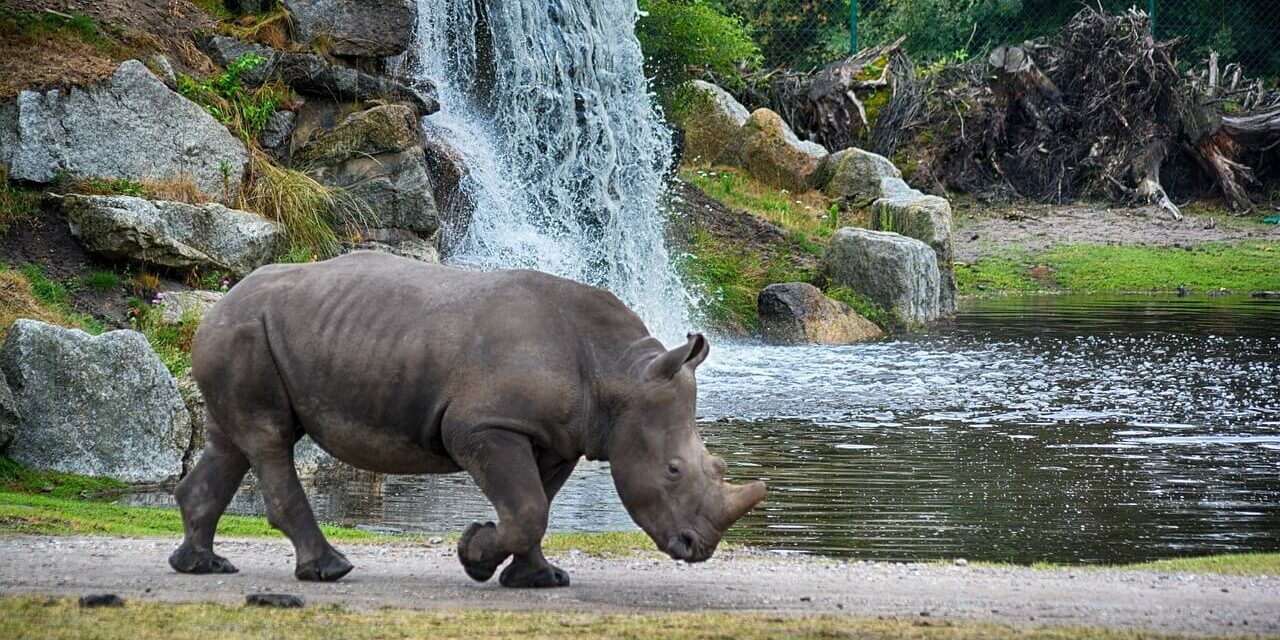 Safariparks Deutschland