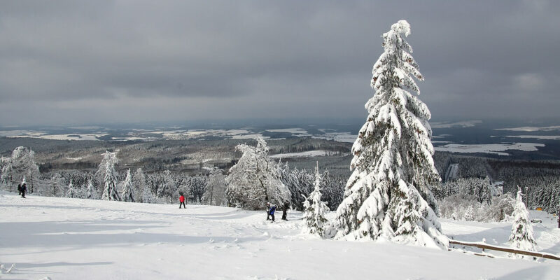 Eine verschneite Landschaft umgibt den Erbeskopf. Im Vordergrund sind schneebedeckte Bäume zu sehen, im Hintergrund schlendern ein paar Menschen durch den Schnee. Im Hintergrund erstreckt sich eine weite Fläche schneebedeckter Felder unter einem wolkenverhangenen Himmel.