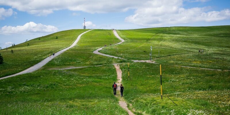 Zwei Menschen gehen auf einem Feldweg durch die grasbewachsenen, mit Blumen übersäten Hügel des Feldbergs, über dem ein teilweise bewölkter Himmel liegt. Mehrere Wege schlängeln sich den Hügel hinauf und führen zu einem markanten Sendeturm auf dem Gipfel.