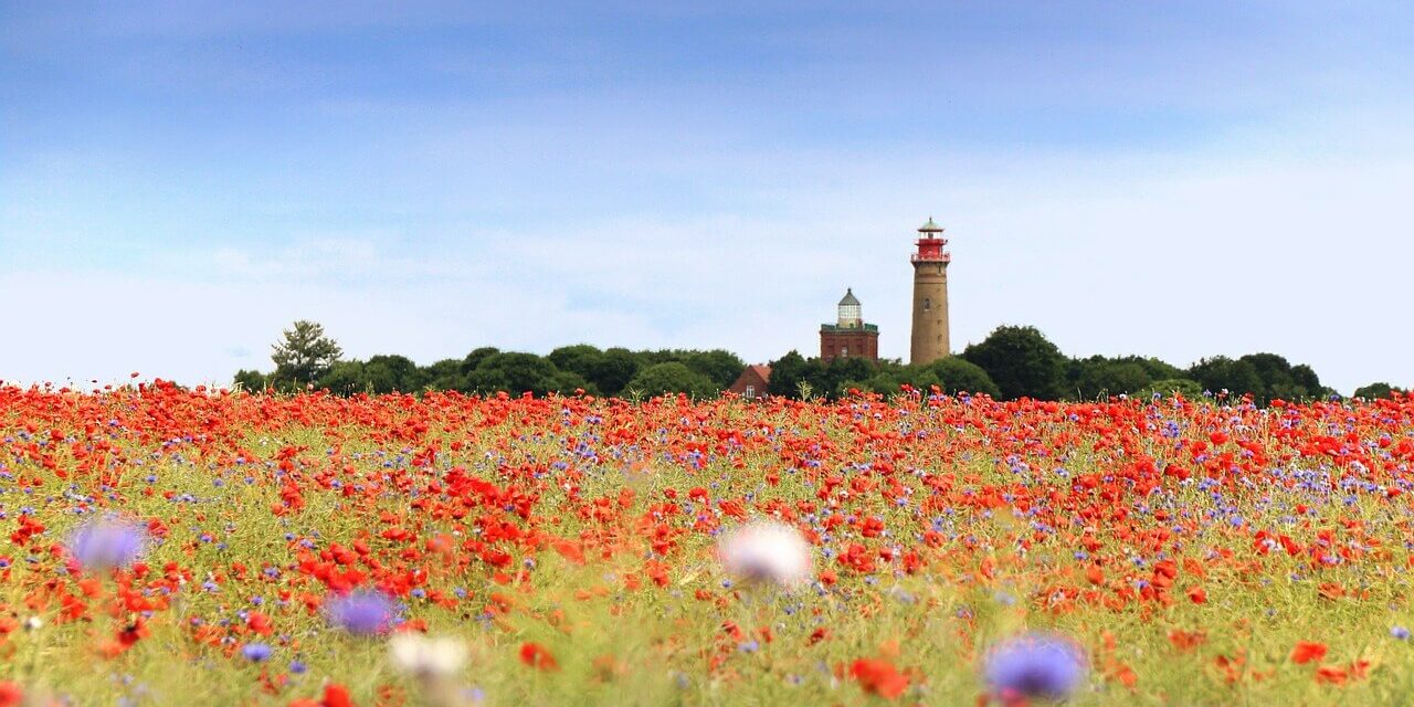 Kap Arkona Unter blauem Himmel am Kap Arkona erstreckt sich ein leuchtendes Wildblumenfeld mit roten Mohnblumen und violetten Blumen. In der Ferne stehen majestätisch zwei hohe Leuchttürme, umgeben von Bäumen.
