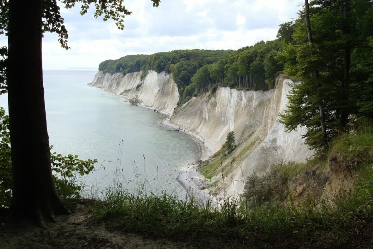 Königsstuhl Rügen Ein malerischer Blick auf den Königsstuhl auf Rügen offenbart dramatische weiße Kreidefelsen entlang der Küste, gesäumt von üppigen grünen Wäldern. Diese majestätischen Klippen fallen unter einem teilweise bewölkten Himmel steil ins ruhige Meer ab, während Gras und Bäume den Vordergrund wunderschön einrahmen.
