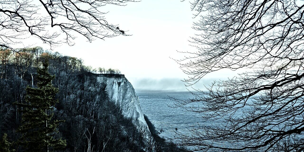 Nationalpark Jasmund Eine zerklüftete Klippe im Nationalpark Jasmund, bedeckt mit kahlen Bäumen, überblickt ein weites, ruhiges Meer unter einem blassen, bewölkten Himmel. Die Szene wird wunderschön von Ästen eingerahmt, die eine ruhige und natürliche Landschaft schaffen.