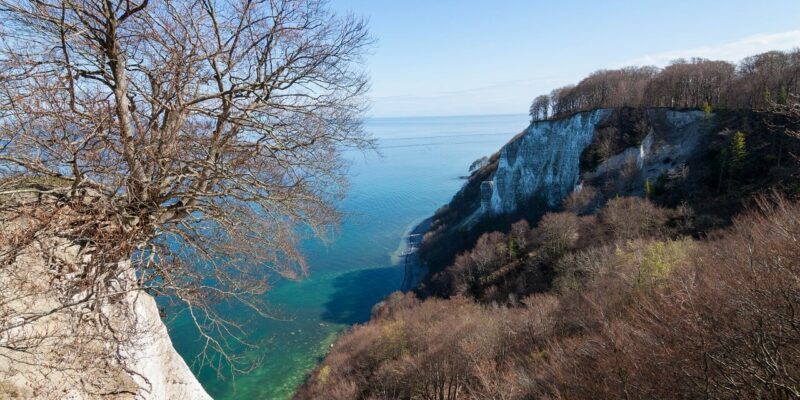 Rügen Nationalpark Ein malerischer Blick auf steile weiße Kreidefelsen entlang einer Küste. Kahle Bäume stehen oben auf den Klippen und blicken auf das ruhige, türkisfarbene Meer unter einem klaren blauen Himmel.