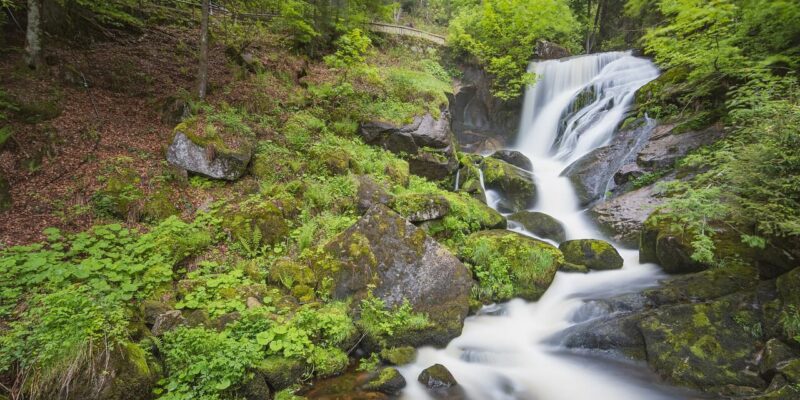 Die Triberger Wasserfälle in Baden-Württemberg stürzen sanft über moosbedeckte Felsen in einem üppigen Wald. Die Umgebung ist voller leuchtend grüner Blätter und Bäume und bildet eine ruhige Naturkulisse.