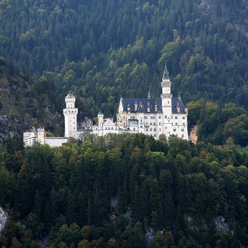 Das malerische Schloss Neuschwanstein liegt auf einem üppig bewaldeten Hügel und besticht durch zahlreiche Türme und Türmchen vor einer Bergkulisse. Umgeben von dichten grünen Bäumen unterstreicht der klare Himmel diese ruhige, märchenhafte Kulisse, die typisch für Burgen und Schlösser in Deutschland ist.