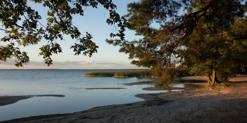 Ein ruhiger Abend am Graal-Müritz Strand offenbart einen Sandstrand, ruhiges Wasser und Bäume, die die Aussicht elegant einrahmen. Der Himmel strahlt ein sanftes Leuchten aus, während in der Ferne Schilf am Wasserrand sanft wiegt.