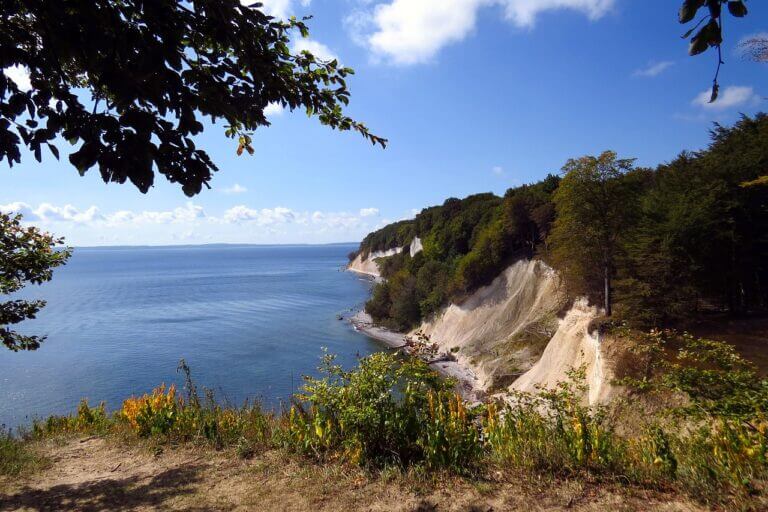 Malerischer Blick auf weiße Kreidefelsen in einem der atemberaubenden Nationalparks in Mecklenburg-Vorpommern. Üppiges Grün bedeckt die Klippen unter einem strahlend blauen Himmel mit Wolken, während sich das ruhige Meer bis zum Horizont erstreckt. Im Vordergrund sind grüne Blätter und ein Fleck mit bunten Wildblumen zu sehen.