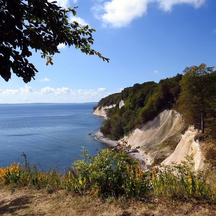 Malerischer Blick auf weiße Kreidefelsen in einem der atemberaubenden Nationalparks in Mecklenburg-Vorpommern. Üppiges Grün bedeckt die Klippen unter einem strahlend blauen Himmel mit Wolken, während sich das ruhige Meer bis zum Horizont erstreckt. Im Vordergrund sind grüne Blätter und ein Fleck mit bunten Wildblumen zu sehen.