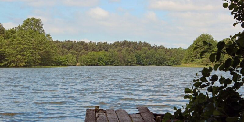 Mecklenburgische Seenplatte Eine ruhige Szene auf der Mecklenburgischen Seenplatte zeigt einen Holzsteg, der sich über das Wasser erstreckt. Üppige grüne Bäume umgeben den See und über ihm liegt ein klarer blauer Himmel mit ein paar Wolken. Das ruhige Wasser spiegelt diese heitere Umgebung perfekt wider.