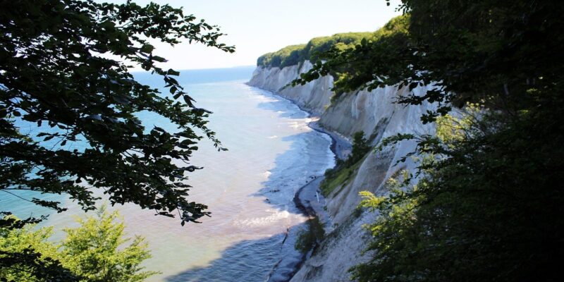 Nationalpark Jasmund Blick auf die malerische Küstenlandschaft des Nationalparks Jasmund mit steilen weißen Kreidefelsen und dem blauen Meer, eingerahmt von grünen Zweigen im Vordergrund. Die Küstenlinie schlängelt sich unter einem klaren Himmel sanft entlang des Wassers und zeigt die ruhige Schönheit der Natur.