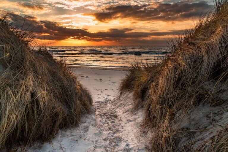 Ein schmaler Sandweg schlängelt sich durch grasbewachsene Dünen zu einem Strand im Sonnenuntergang, der an die ruhigen Strände in Mecklenburg-Vorpommern erinnert. Die Sonne geht über dem Meer unter und wirft warme orangefarbene und goldene Farbtöne in den Himmel und auf die Wolken, während die Wellen sanft das Ufer berühren.