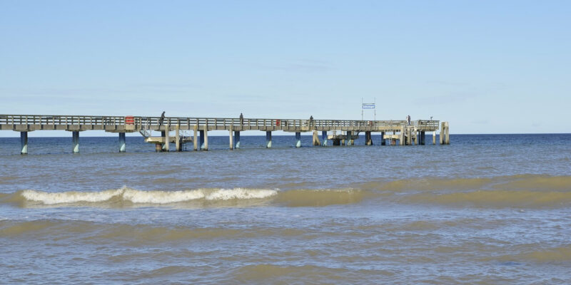 Ein Holzsteg ragt unter klarem Himmel in das ruhige, blaue Wasser des Ozeans am Strand von Boltenhagen. Kleine Wellen rollen auf das Ufer zu und auf dem Steg sind ein paar Menschen zu sehen. Diese ruhige Szene fängt einen hellen, sonnigen Tag an diesem bezaubernden Ort am Meer ein.
