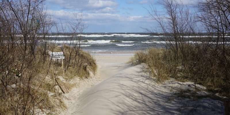 Ein Sandweg schlängelt sich durch Dünengräser zu einem windgepeitschten Strand an den Usedom-Stränden, mit Wellen unter blauem Himmel. Links ist ein Schild mit Text zu sehen, eingerahmt von spärlich stehenden Bäumen und Sträuchern.