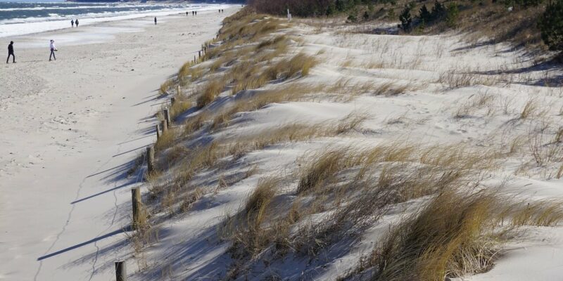 Der Zinnowitz Strand ist ein Sandstrand mit grasbewachsenen Dünen, die sich entlang der Küste erstrecken. Mehrere Menschen schlendern am Wasser entlang, während sich der klare Himmel in den sanften Meereswellen spiegelt. Im Hintergrund säumen Bäume diese ruhige Strandlandschaft.